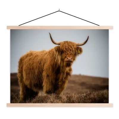 Produktbild von MuchoWow® Textilposter Schottischer Highlander - Düne - Gras 60x45 cm mit holzfarbenen Rahmen - Bild
