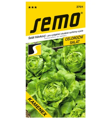 Produktbild von Samen – Kopfsalat ´KAMENEX´