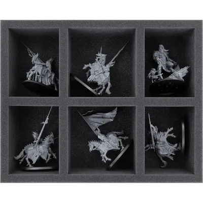 Image de Insert en mousse pour Soulblight Gravelords 6 compartiments
