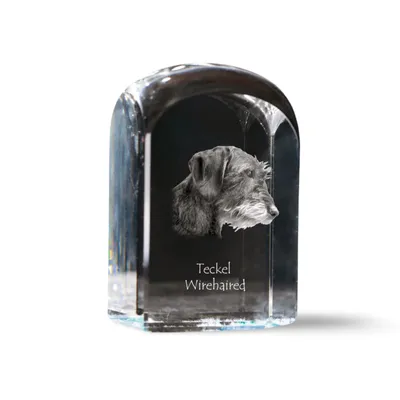Produktbild von Art-Dog Briefbeschwerer Dachshund Rauhhaar I