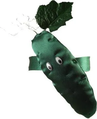 Image de Bandeau vert CONCOMBRE Légumes Wrzywniak
