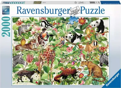 Obrázek produktu pro Ravensburger 16824, 2000 kus, Zvata, 14 rok/roky