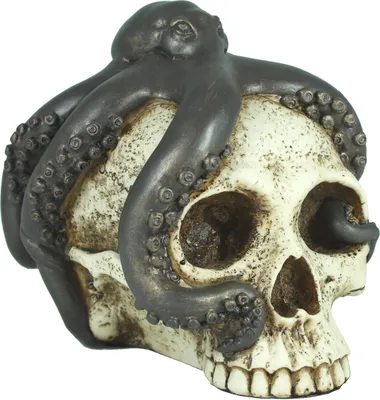 Produktbild von Dekofigur Totenkopf mit Tintenfisch Schädel Mystic Gothic Fantasy Wohnung Dekoration