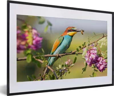 Produktbild von MuchoWow® Gerahmtes Poster Vogel - Bienenfresser - Blumen 60x40 cm - Poster mit Schwarzem Bilderrahmen Wandposter Rahmen Foto Bilder - Schlafzimmer - Plakat in Rahmen - Drucken