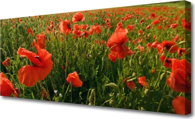 Produktbild von Tulup Leinwand-Bilder 125x50 Wandbild Canvas Kunstdruck Mohnblumen Natur