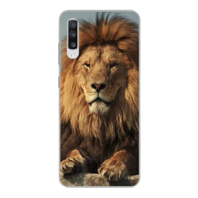 Produktbild von MuchoWow® Handyhülle Schutzhülle Hülle für Samsung Galaxy A70 Löwe - Felsen - Porträt Silikon Softcase Handy Hülle - Schutzhaube