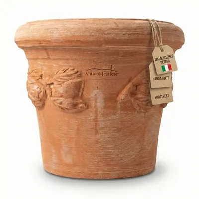 Image de Pot en terre cuite Teramico « Limoni » résistant au gel, avec soucoupe en option