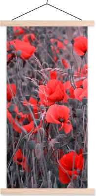 Produktbild von MuchoWow® Textilposter Rote Mohnblumen in einem Schwarz-Weiß-Bild 40x80 cm mit holzfarbenen Rahmen - Wohnzimmer