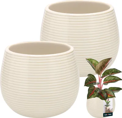 Zdjęcie produktu dla KOTARBAU® Doniczka w kolorze kremowym ceramiczna okrągła ⌀ 12 cm wysokość 14 cm ceramika szkliwiona 2 szt. doniczka duża doniczka ceramiczna doniczka ceramiczna doniczka ceramiczna doniczka ceramiczna doniczka ceramiczna