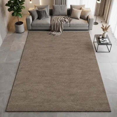 Produktbild von Pflegeleichter Kurzflor Teppich Taupe mit weicher Oberfläche Größe - 120 x 170 cm
