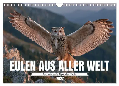 Produktbild von Eulen aus aller Welt - Faszinierende Jäger der Nacht (Wandkalender 2027 DIN A4 quer), CALVENDO Monatskalender