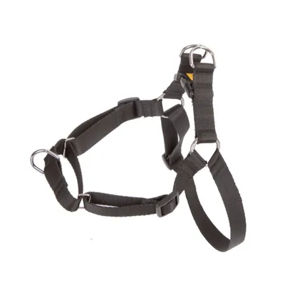 Produktbild von Dingo 94466 Leichter Spaziergang