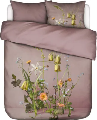 Produktbild von Essenza Bettwäsche-Garnitur Satin Ficaria Farbe Woodrose Größe 135x200+80x80
