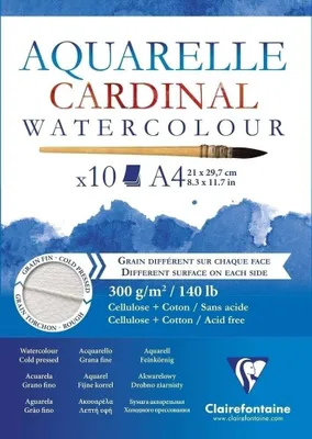 Produktbild von Clairefontaine 3329680961836, Kunstpapier, 300 g/m², 10 Blätter