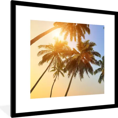 Produktbild von MuchoWow® Gerahmtes Poster Palme - Sonne - Sommer - Tropisch 40x40 cm - Poster mit Schwarzem Bilderrahmen Wandposter Rahmen Foto Bilder - Poster - Plakat im Rahmen