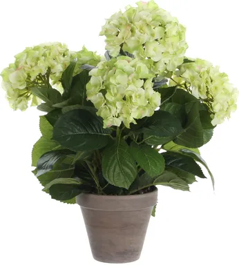 Produktbild von Mica Decorations Hortensien Kunstpflanze im Blumentopf Stan - H45 x Ø45 cm - Grün