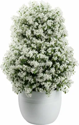 Immagine prodotto di HowHomely | Vaso da fiori - Vaso per piante - L46xH38 cm - bianco - Coprivaso - Fioriera - Facile da pulire