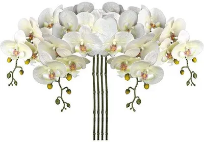 Productafbeelding van Unyqoos® Set van 4 levensechte kunstorchideeën, wit – met het uiterlijk van een Phalaenopsis, gemakkelijk te onderhouden, gemaakt van kunststof, decoratieve kunstbloemen voor woonruimtes