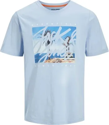 Produktbild von Jack & Jones Colton Photoprint Kurzarm-t-shirt Blau S Herren Blau S