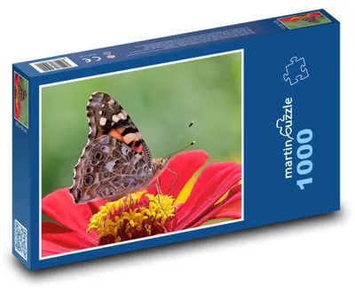Obrázok produktu pre Puzzle 1000 Motýľ na kvete - martinpuzzle