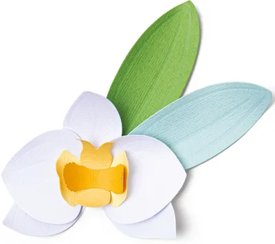 Produktbild von Sizzix Thinlits Stanzschablone "Orchid"