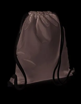 Obrázek produktu pro Icon Gymsac