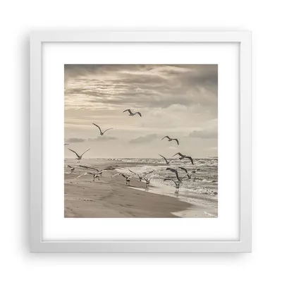 Produktbild von Gerahmtes Poster - Weißer Rahmen - Möwen Küste Boho - 30x30 cm - Wand Bild - Wanddeko - Wandbilder - Kunstposter - Wandposter - Bilderrahmen - Bilder - Kunstdruck - Wanddekoration - P2WAC30x30-4723
