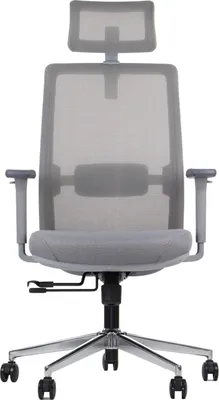 Produktbild von Ergonomischer Bürodrehstuhl CUTLER GF, Chrom Basis, verstellbare Armlehnen, Kopfstütze und Lordosenstütze, grauer Rahmen, graue Polsterung