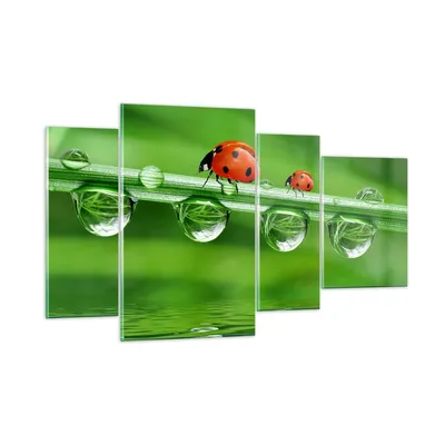 Produktbild von Bilder auf glas - Marienkäfer Wasser Grün Umwelt - 120x70cm - Glasbilder - Wandbilder - Kunstdruck - zum Aufhängen bereit - Wanddekoration aus Glas - Glas Bilder - Wandbild auf Glas - GDL120x70-2661