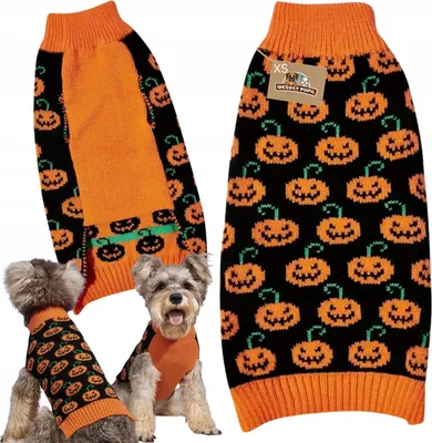 Obrázek produktu pro DOG SWEET pro zimní HALLOWEEN oblečení v dýňové teplé barvě GOLF SWEET XS