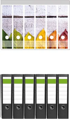 Produktbild von Wallario 6 Stück breite Ordner inkl. Klebeetiketten mit Motive Bunte Herbstblätter auf hellem Holz -  Set mit Rückenschildern / Ordnerrücken Stickern