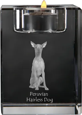 Produktbild von Peruanischer Nackthund, Viringo - Kerzenhalter mit Hundefoto, Teelichthalter aus Kristall, personalisiertes Geschenk der Marke Art-Dog