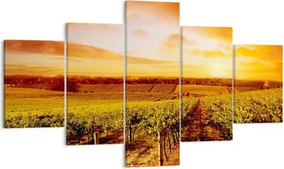 Produktbild von Bild auf Leinwand - Leinwandbild - Weinberg Aussicht Landschaft - 125x70cm - Wand Bild - Wanddeko - Leinwanddruck - Bilder - Kunstdruck - Wanddekoration - Leinwand bilder - Wandkunst - EA125x70-0170