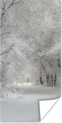 Produktbild von MuchoWow® Poster Bäume - Schnee - Winter 20x40 cm - Plakat - Foto