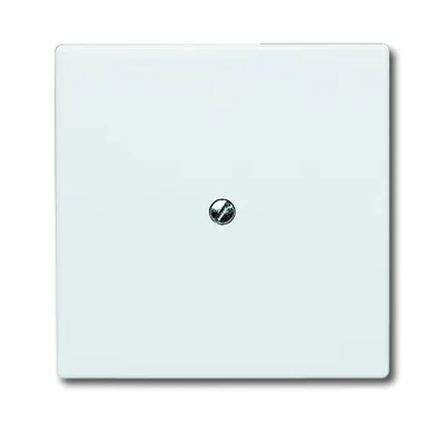 Immagine prodotto di Busch-Jaeger Piastra centrale cieca ws 2138-32 2CKA001710A2264
