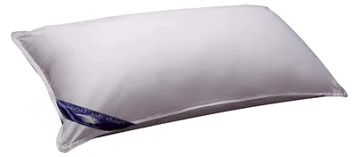 Produktbild von Daunenkissen | 40x80 cm | Füllgewicht: 750 Gramm | inkl. Kissenbezug aus 100% Baumwolle | Kopfkissen 40x80 Daunen | Federkissen | kein Lebendrupf | weiß | 1 Stück