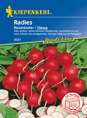 Produktbild von [STREICHUNG 2025] Radies Vitessa | Radieschensamen von Kiepenkerl