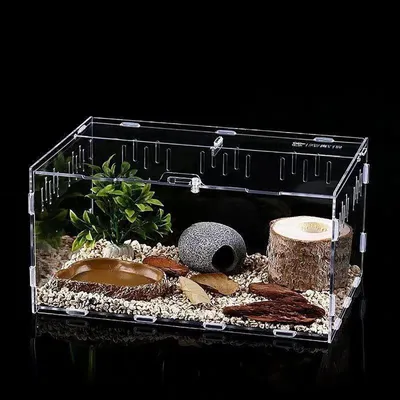 Imagen del producto de Terrario de acrílico transparente para pequeños reptiles e insectos
