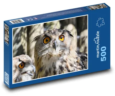 Produktbild von Puzzle 500 Eule mit orangefarbenen Augen - martinpuzzle