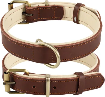 Obrázok produktu pre Kožený obojok pre psov, Robustný & Pohodlný, 25-57 cm, Pre všetkých psov