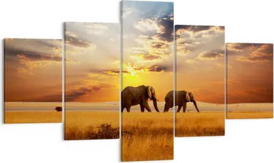 Produktbild von Bild auf Leinwand - Leinwandbild - Elefanten Safari Dschungel Busch - 125x70cm - Wand Bild - Wanddeko - Leinwanddruck - Bilder - Kunstdruck - Leinwand bilder - Wandkunst - EA125x70-3150