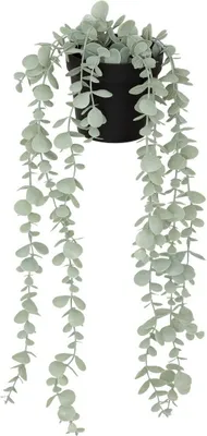 Produktbild von Künstlicher eukalyptus im topf "merly" grün h51cm  - Atmosphera créateur d'intérieur