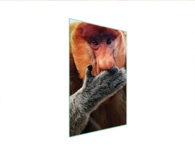 Produktbild von Glasschneidebrett 35x52 NOSACZ