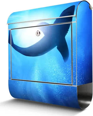 Zdjęcie produktu dla Skrzynka na listy ze stali nierdzewnej z przegrodą na gazety Duża skrzynka na listy Shark ze stali nierdzewnej, otwór A4 [BKGE2 10425]