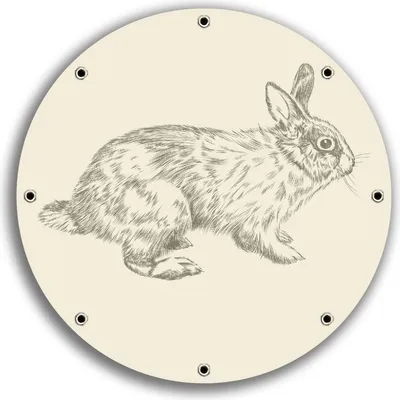 Produktbild von Wallario rundes Outdoor-Poster für Garten oder Balkon, Motiv Hase als illustrierte Bleistiftzeichnung, 30 cm Durchmesser