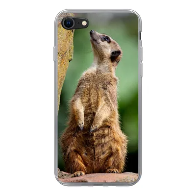 Produktbild von MuchoWow® Handyhülle Schutzhülle Hülle für iPhone SE 2022 Erdmännchen - Tier - Rock Silikon Softcase Handy Hülle - Schutzhülle