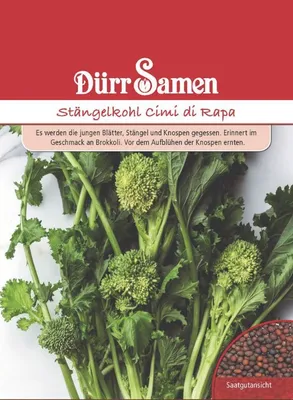 Produktbild von Stängelkohl Cimi di Rapa, Blattgemüse, jungen Blätter Stängel und Knospen zum Verzehr geeignet