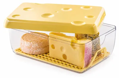Immagine prodotto di Contenitore per formaggio Snips, capacità 3 litri, grande contenitore con coperchio e griglia per mantenere la freschezza
