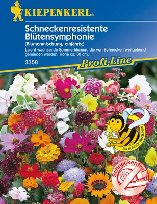 Produktbild von [STREICHUNG 2025] Schneckenresistente Blütensymphonie Blumenmischung | Blumensamenmischung von Kiepenkerl