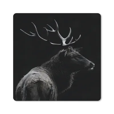 Produktbild von MuchoWow® Mauspad Mousepad Hirsch - Schwarz - Porträt - Geweih - Tiere 20x20 cm - Mousepads - Maus Mat - Pad - Mausunterlage - Desk Mat - Bureauartikeln